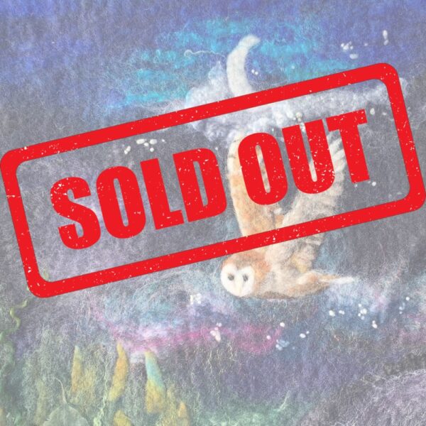 31 January 2026 - Full Day - Eve Marshall: Midnight Owl Wet and Needle Felted Picture