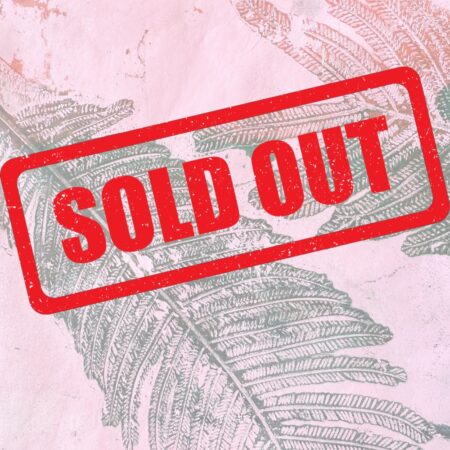 15 March 2026 - Half Day - Lisa Tank: Botanical Gelli Plate Prints and Concertina Sketchbook