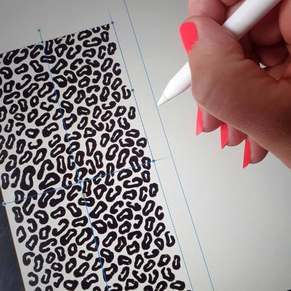 27 September 2025 – Full Day – Mel Langton: Creating Repeat Patterns With Procreate - Image 2