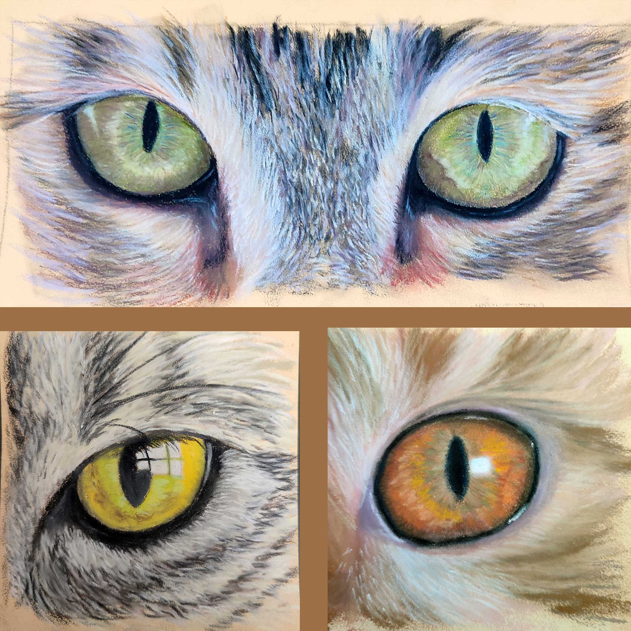 09 May 2026 - Half Day - Fiona Hodges: Capturing Cat Eyes in Soft Pastels