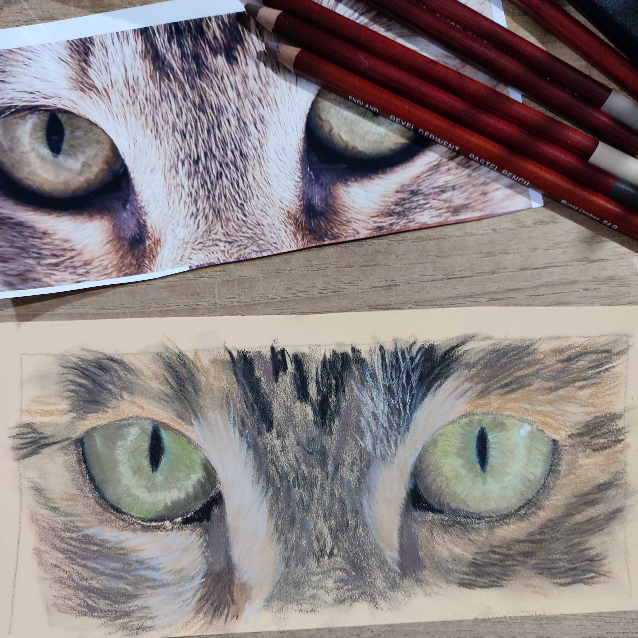 09 May 2026 - Half Day - Fiona Hodges: Capturing Cat Eyes in Soft Pastels - Image 2