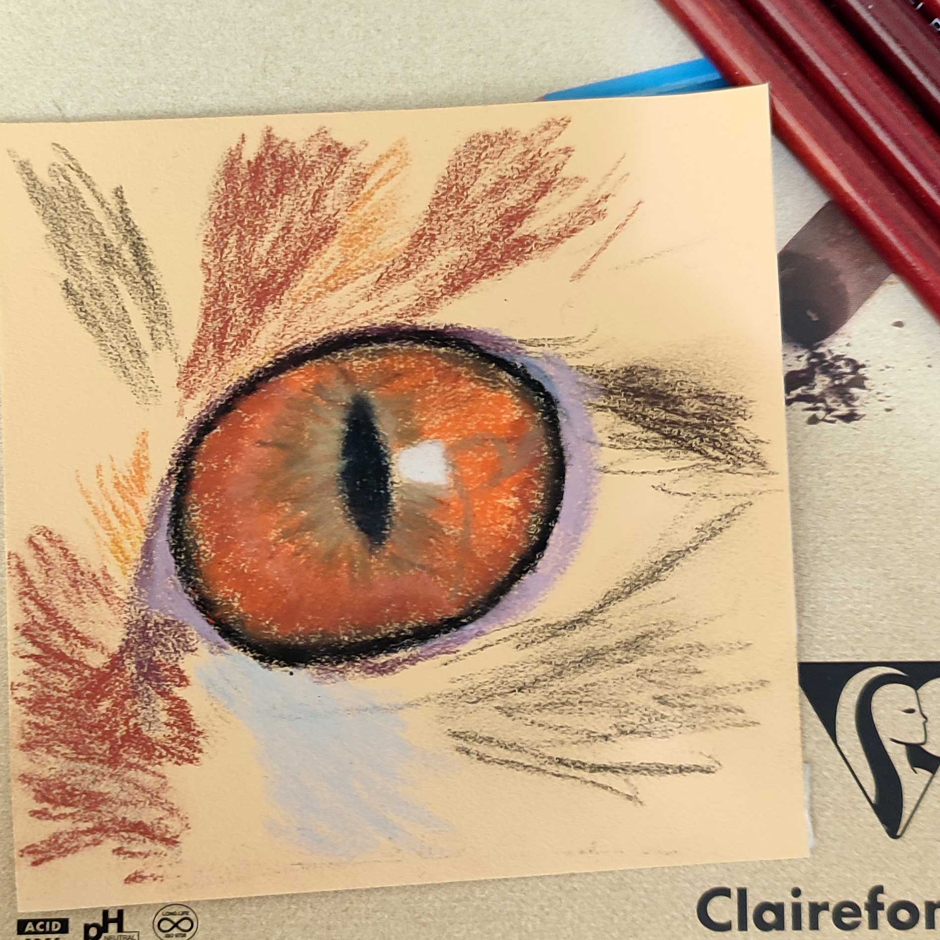 09 May 2026 - Half Day - Fiona Hodges: Capturing Cat Eyes in Soft Pastels - Image 3