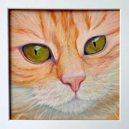 20 May 2026 - Full Day - Fiona Hodges: Cat Portrait in Soft Pastels