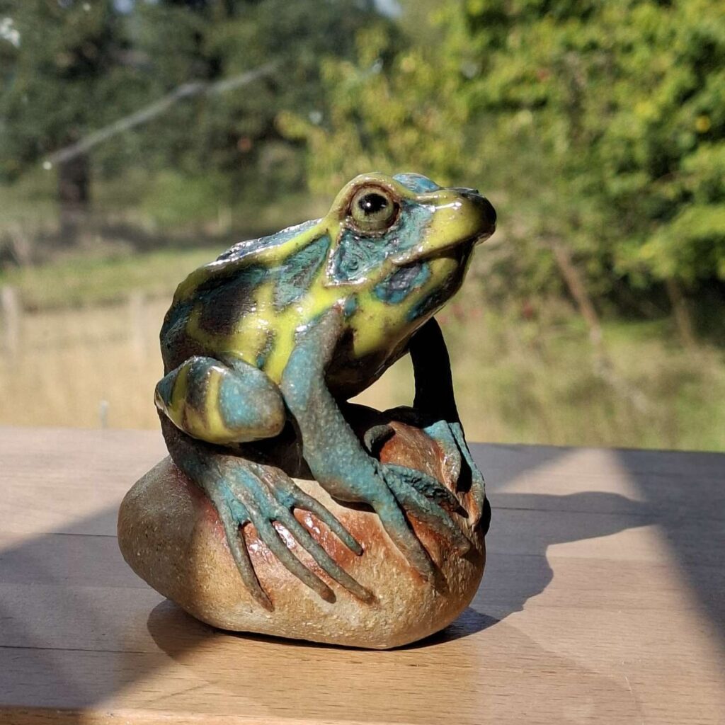 16 February 2027 - Half Day - Liz McLelland: Ceramic Frog on a Rock