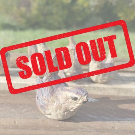 02 June 2026 - Half Day - Liz McLelland: Ceramic Wren in the Hand