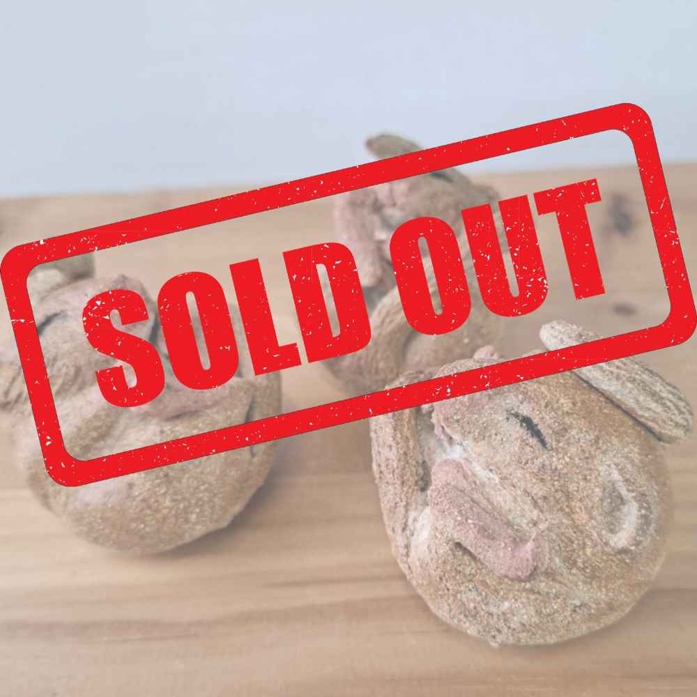 27 October 2026 - Half Day - Liz McLelland: Ceramic Sleepy Hazel Dormouse