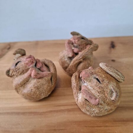 27 October 2026 - Half Day - Liz McLelland: Ceramic Sleepy Hazel Dormouse