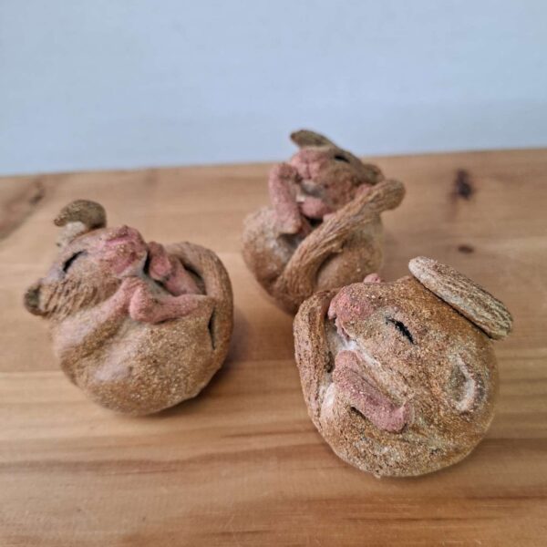27 October 2026 - Half Day - Liz McLelland: Ceramic Sleepy Hazel Dormouse
