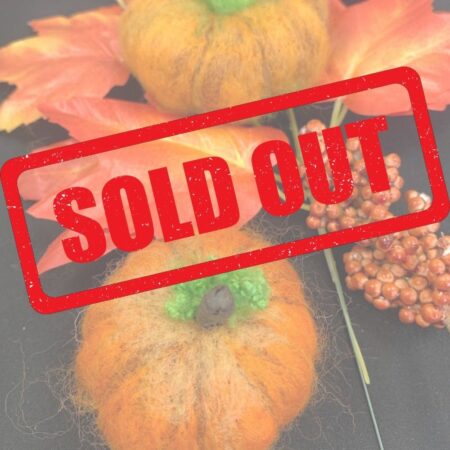 21 October 2026 - Taster - Eve Marshall: Needle Felt a Pair of Pumpkins