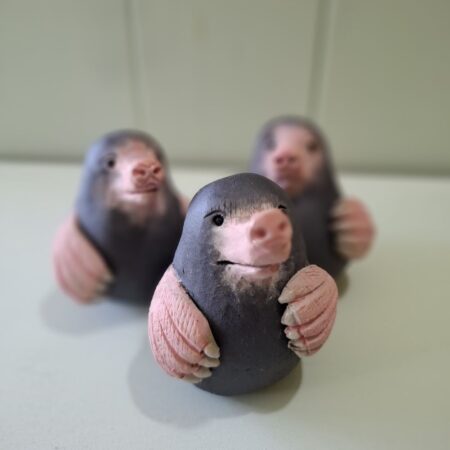 13 January 2027 - Half Day - Liz McLelland: Ceramic Mole Army