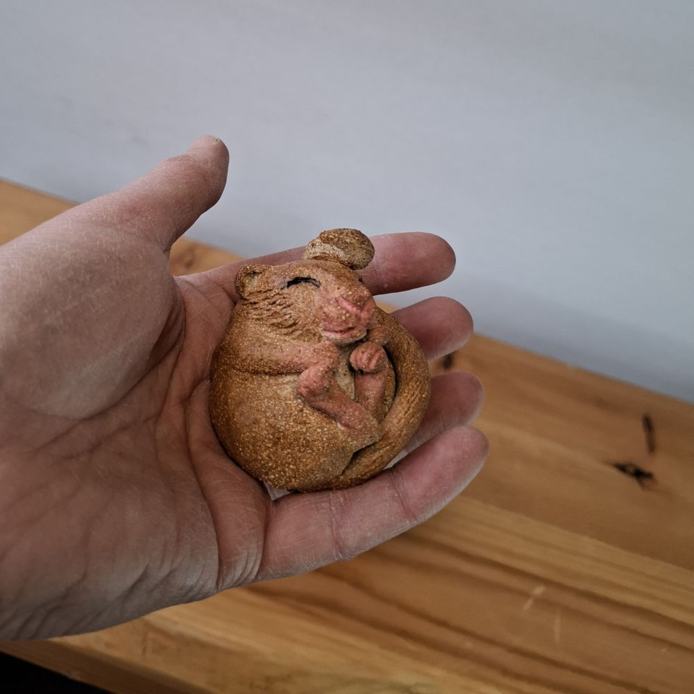 16 February 2027 - Half Day - Liz McLelland: Ceramic Sleepy Hazel Dormouse